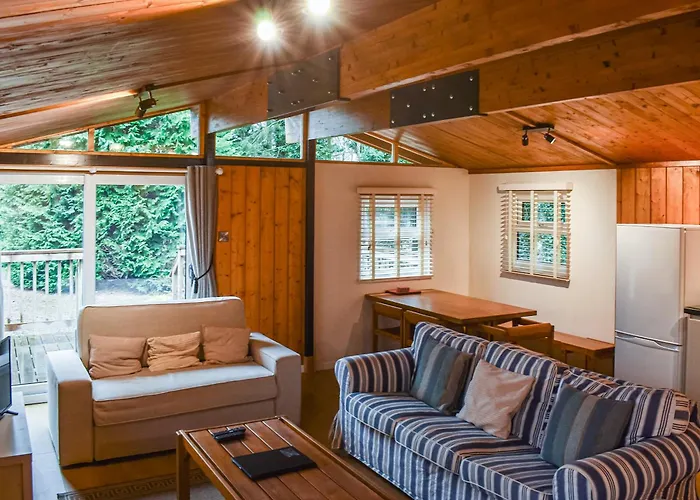 Pine Ellington (North Yorkshire)